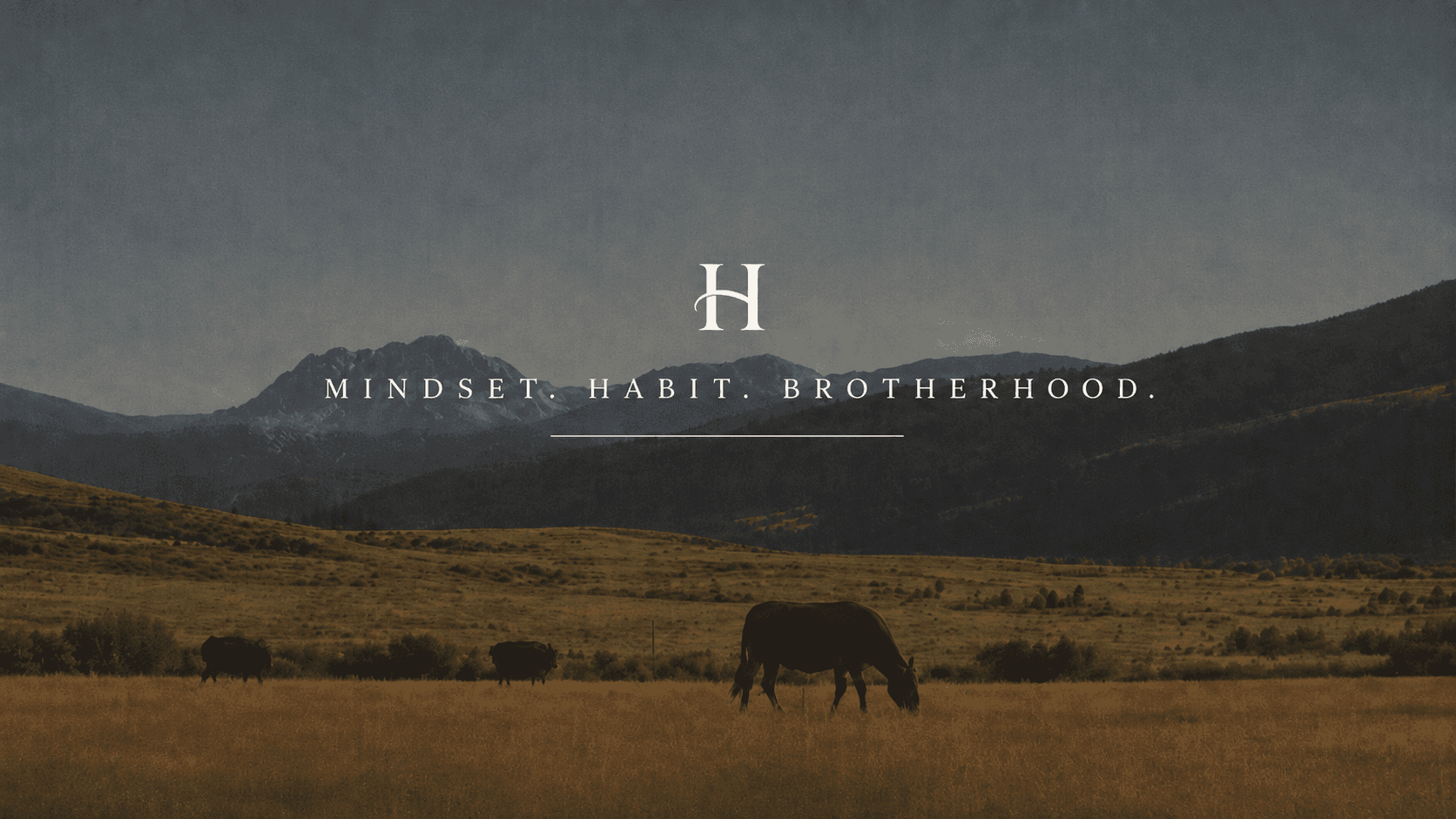 A forest at first light, an H monogram resting in the trees — Husbandry.